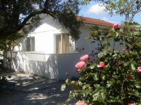 Pension Zoi - Dodekanes Archángelos